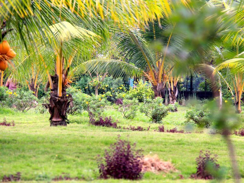 Okura Island Resort And Spa Kadalur Dış mekan fotoğraf